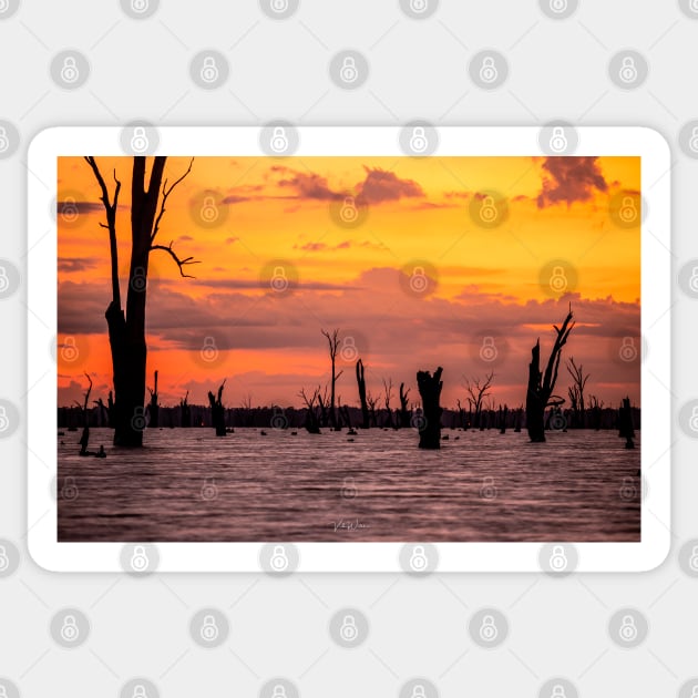 Lake Mulwala, Yarrawonga, Victoria, Australia Sticker by VickiWalsh
